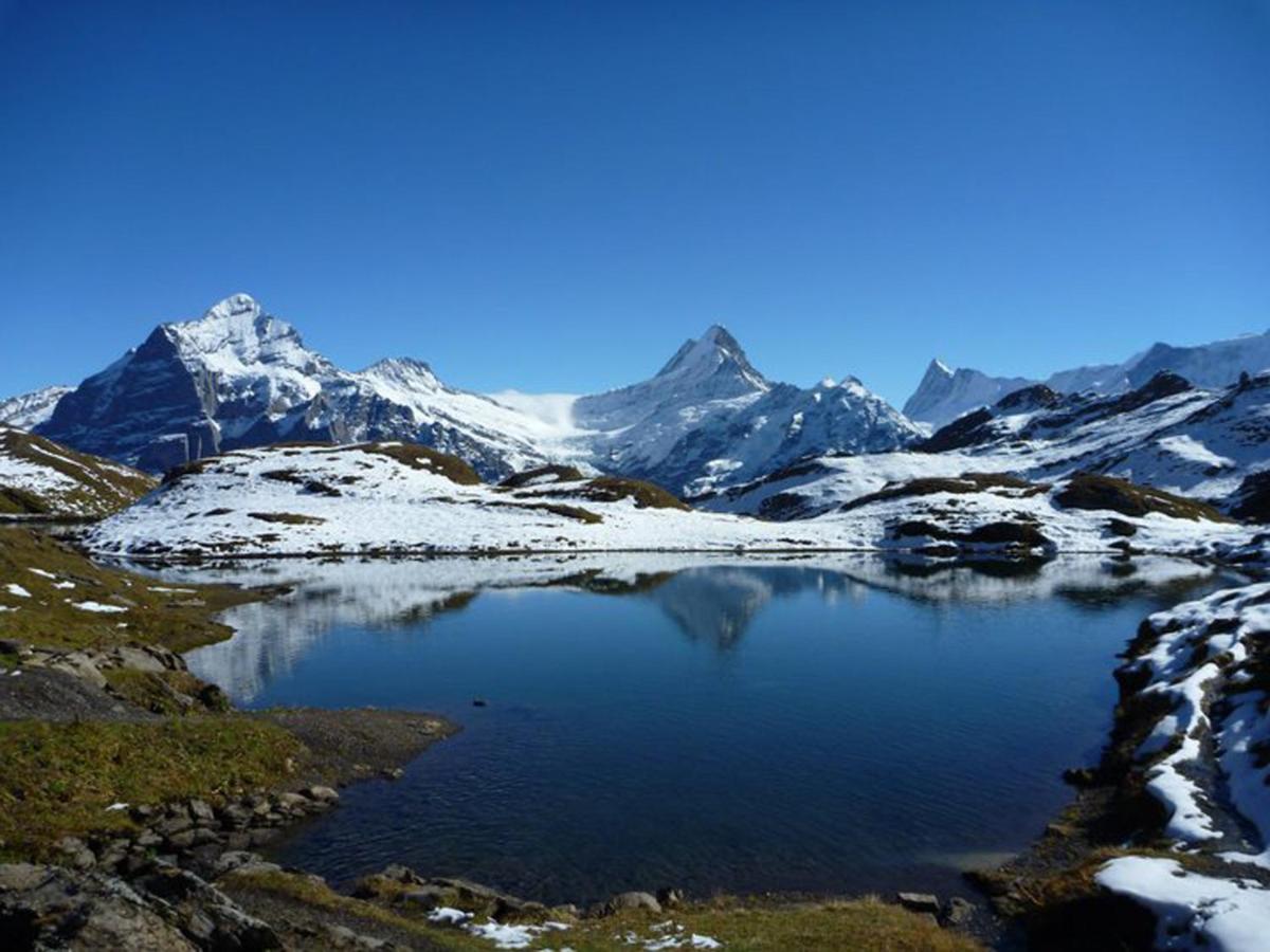 Ferienwohnung Luxury, new - amazing views Grindelwald Eiger Jungfrau Mönch Exterior foto